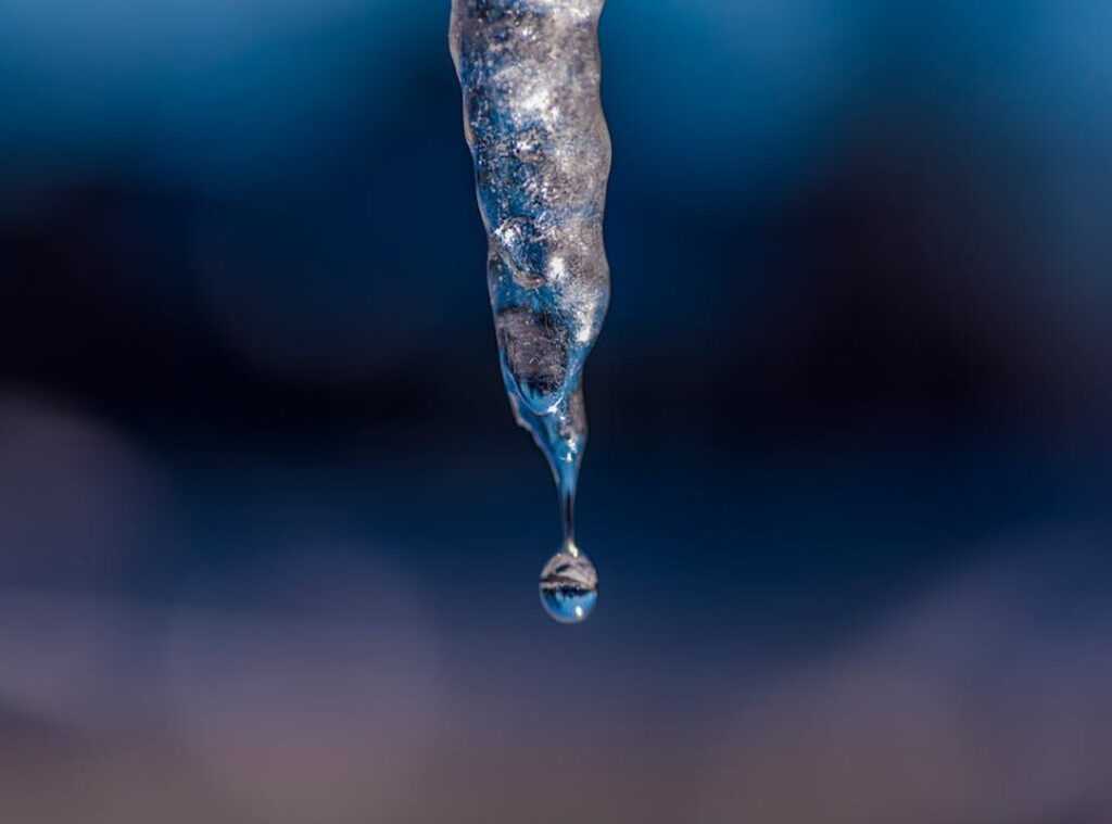 Which Method Is Safest to Defrost Tbtechchef