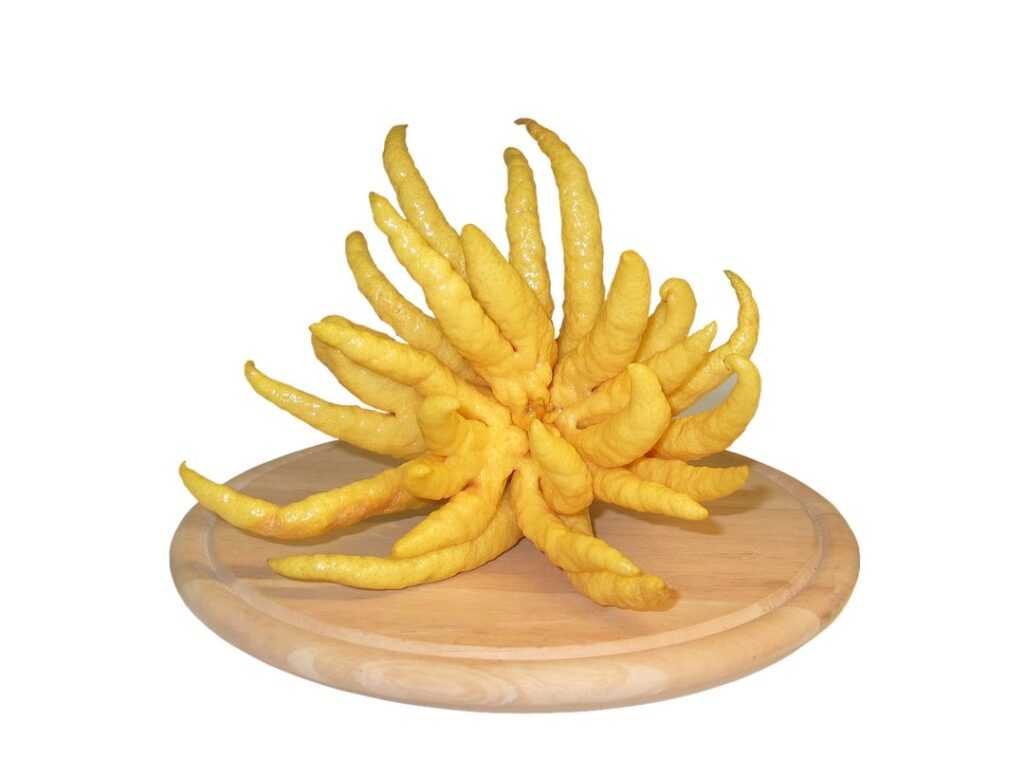 exotic fruits cooking