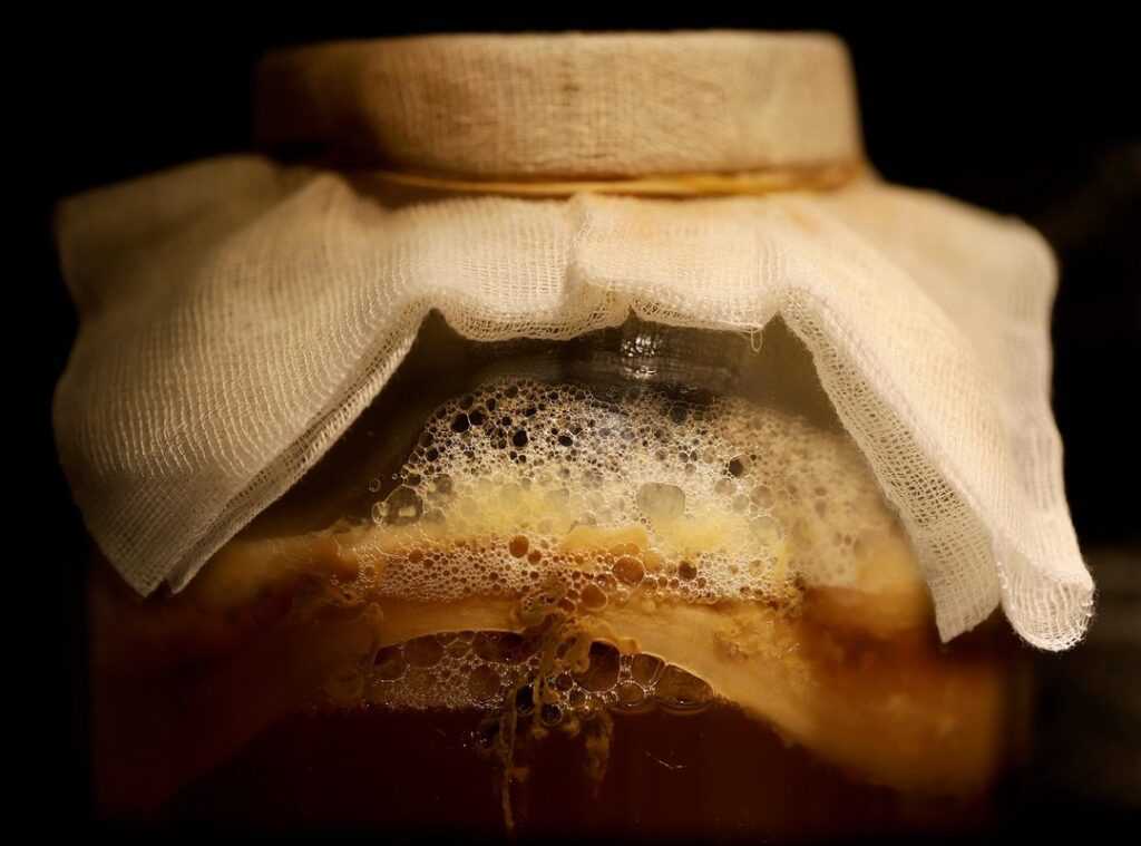 fermented foods rise